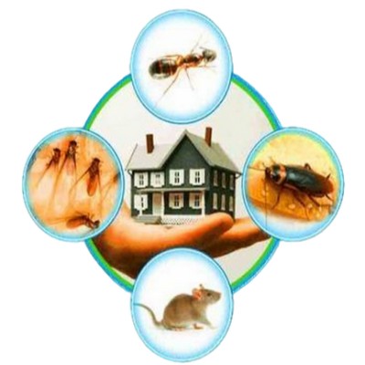 STEP 3: MAINTENANCE PROGRAM